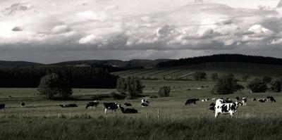 Crafting A Responsible Future